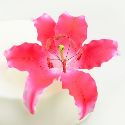 Nicoles Zuckerwerk Feinzucker Blüte Lily dark pink spray