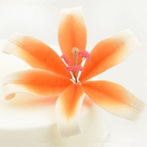 Nicoles Zuckerwerk Feinzucker Blüte Lily white orange spray