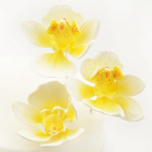 Nicoles Zuckerwerk Feinzucker Blüten Moth Orchid 3er