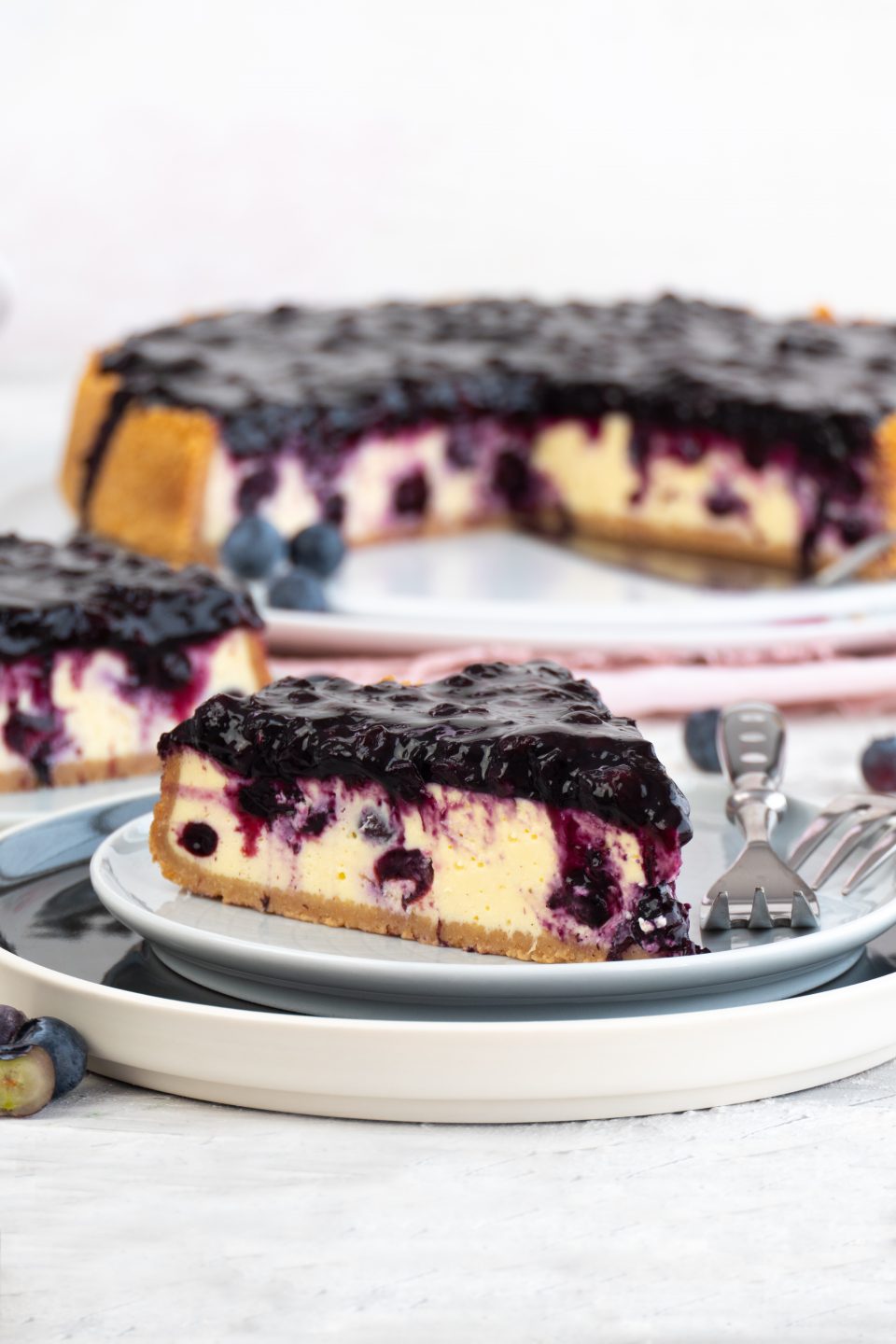 Käsekuchen | Heidelbeer-Käsekuchen | Nicoles Zuckerwerk