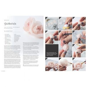 Nicoles Zuckerwerk Shop Buch Wafer Paper Cakes Stevi Auble Beispiele